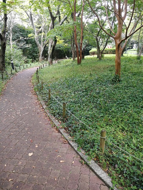 f:id:t_kato:20201002235909j:plain f:id:t_kato:20201002235909j:plain