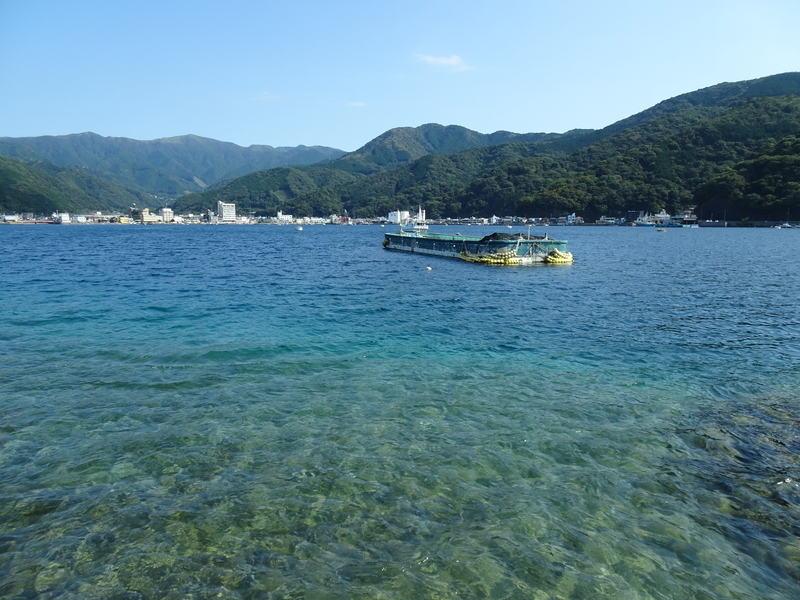 f:id:t_kato:20201231223953j:plain