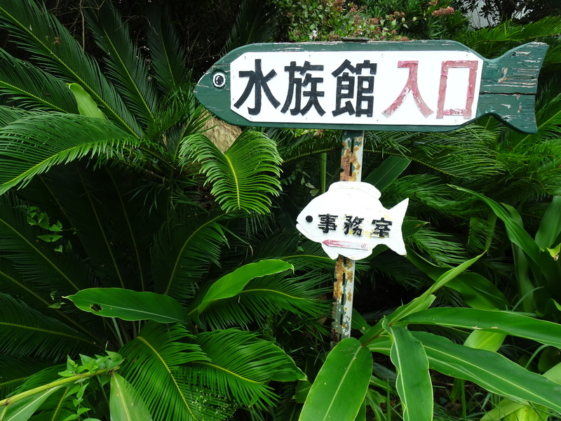 f:id:t_kato:20201231231951j:plain