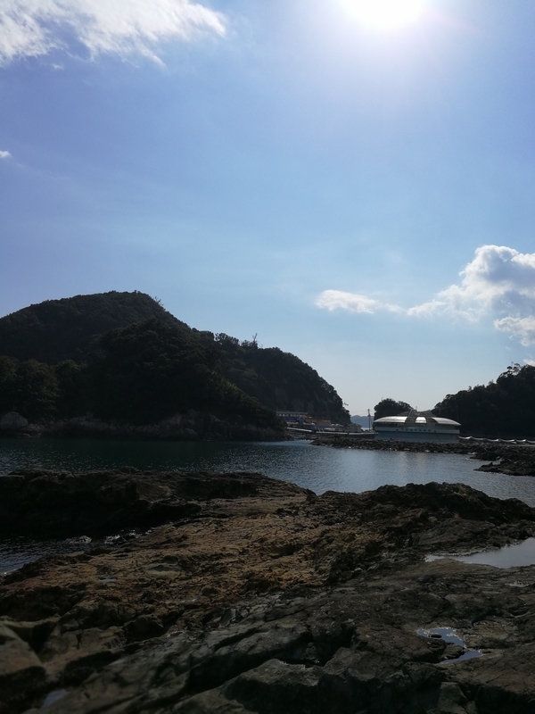 f:id:t_kato:20210316225034j:plain