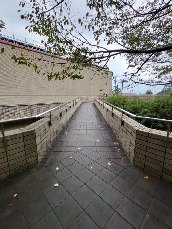 f:id:t_kato:20210902231514j:plain