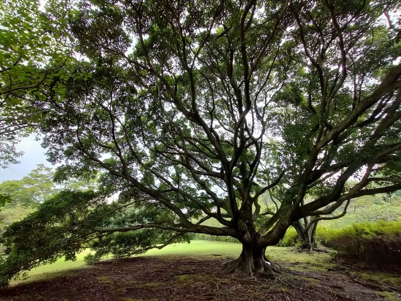 f:id:t_kato:20210902231838j:plain