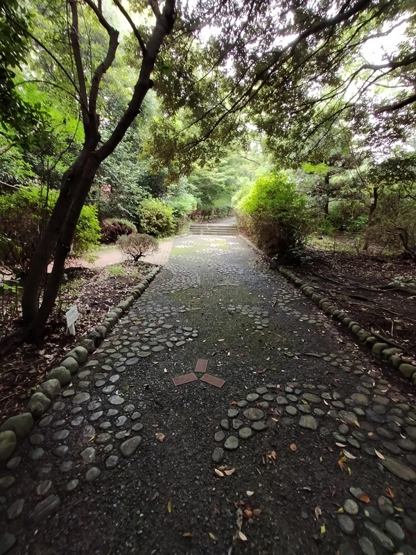 f:id:t_kato:20210902232742j:plain