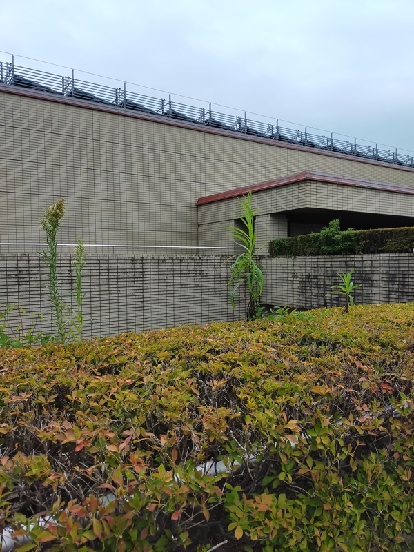 f:id:t_kato:20210902232936j:plain