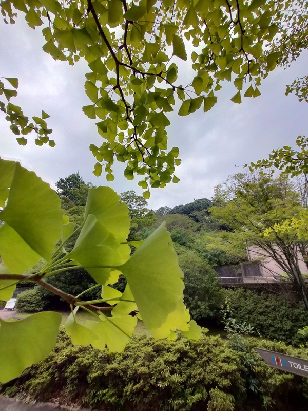 f:id:t_kato:20210905224946j:plain