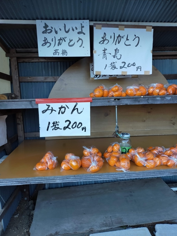 f:id:t_kato:20220107234608j:plain