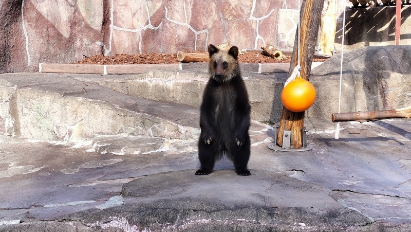 浜松市動物園 はまZOO - t_ka:Diary