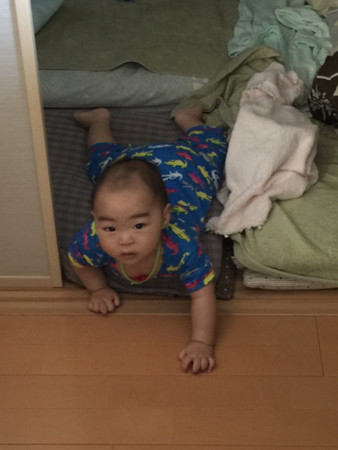 f:id:t_makoto:20150701113035j:image:h320 f:id:t_makoto:20150701113035j:image:h320