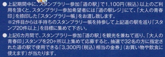 f:id:t_miyahara:20210309225617j:plain