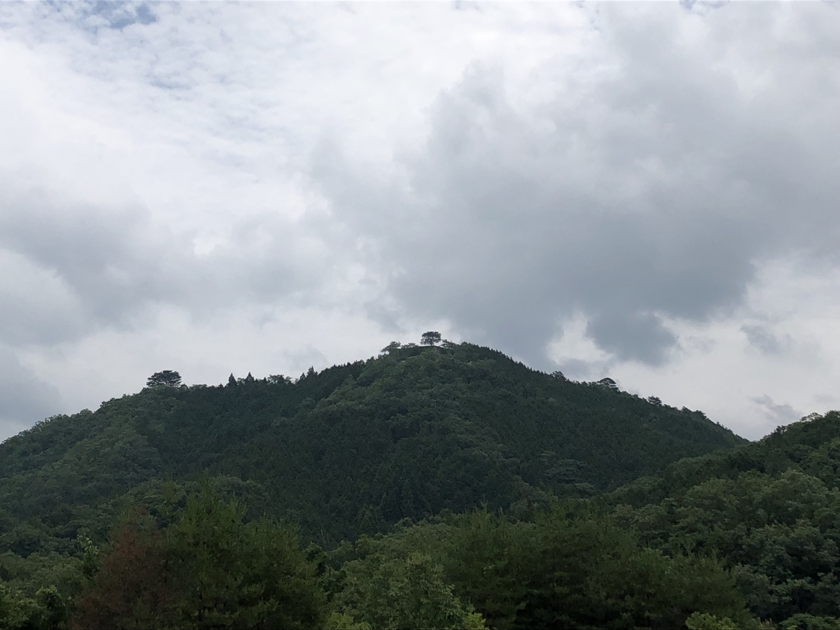 f:id:t_oginogin:20190703173032j:plain
