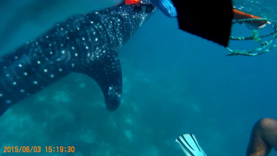 f:id:t_onoue:20170130132150j:plain:w300