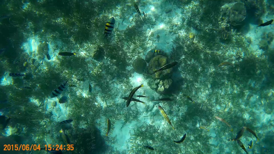 f:id:t_onoue:20170130132152j:plain:w300