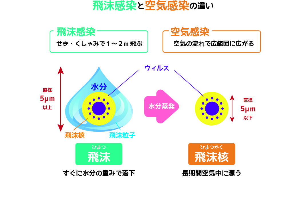 f:id:t_pharm:20210418215103j:plain