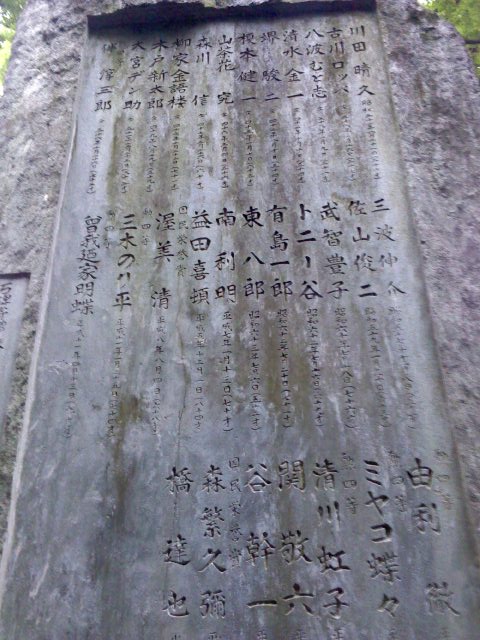 イメージ 7