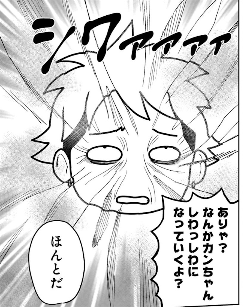 f:id:t_sound:20250206202533j:image