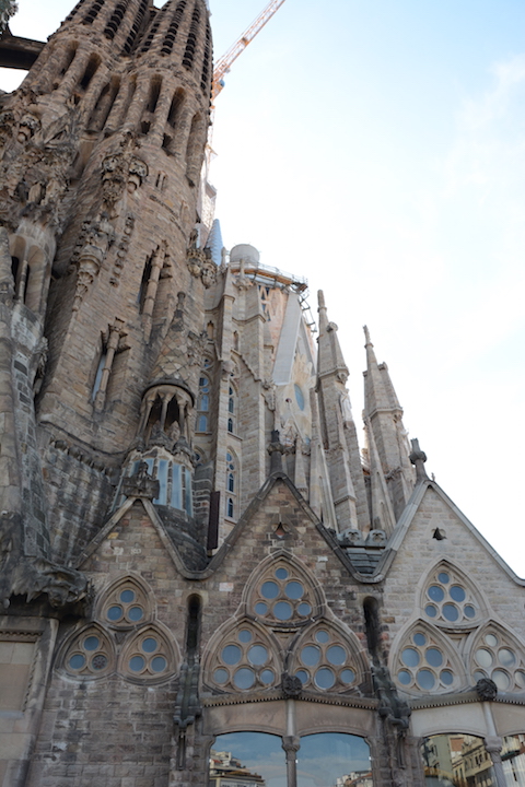 116-15.jpg