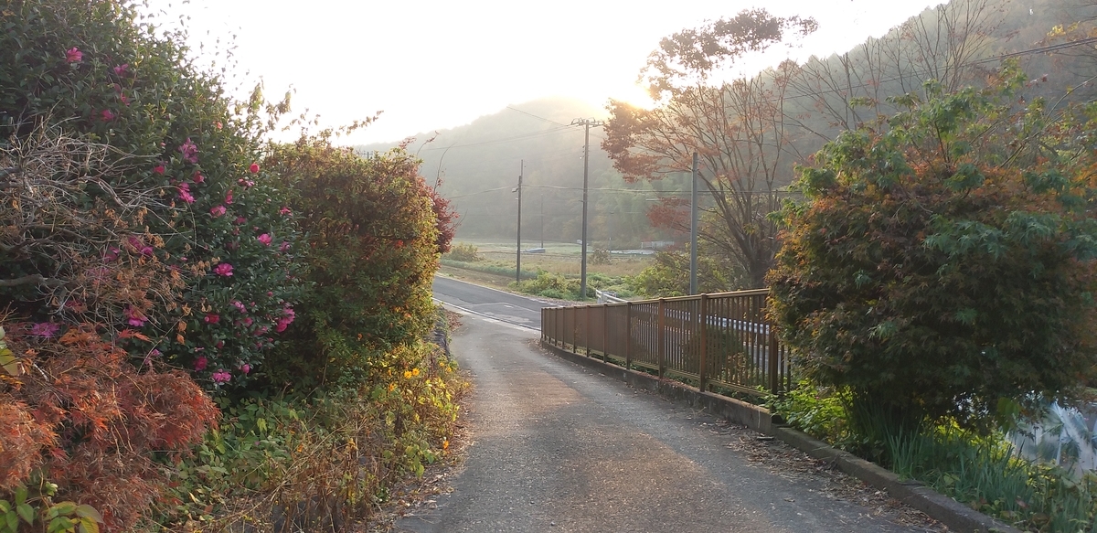 f:id:t_unagi:20211121071329j:plain