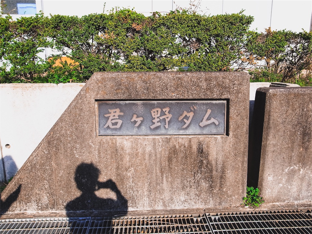 f:id:t_yamarimo:20180401230349j:image