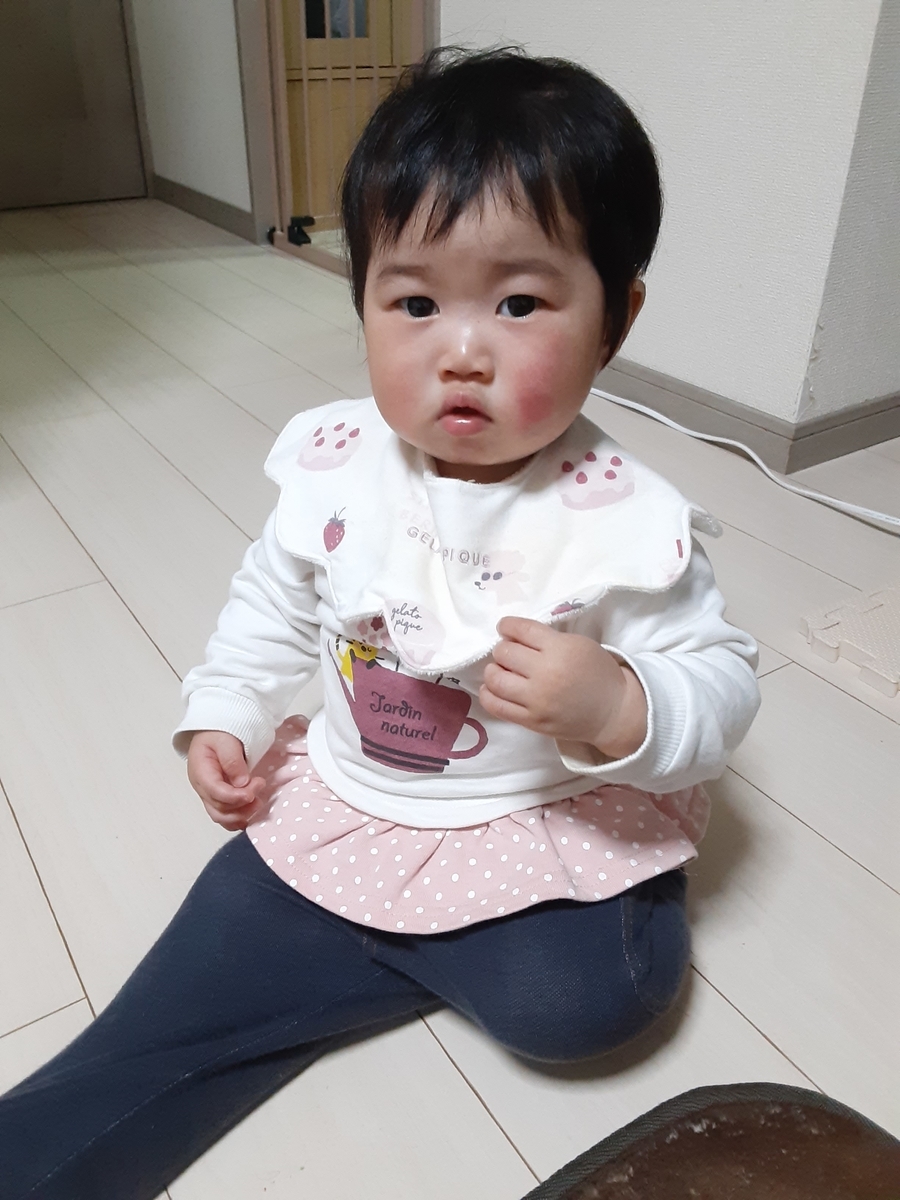 f:id:t_yuta:20210108174010j:plain
