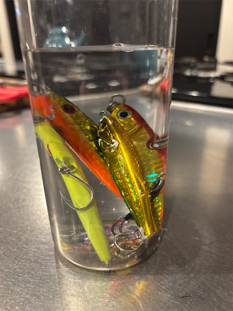 f:id:ta-bo-fish:20251123205535j:image f:id:ta-bo-fish:20251123205535j:image