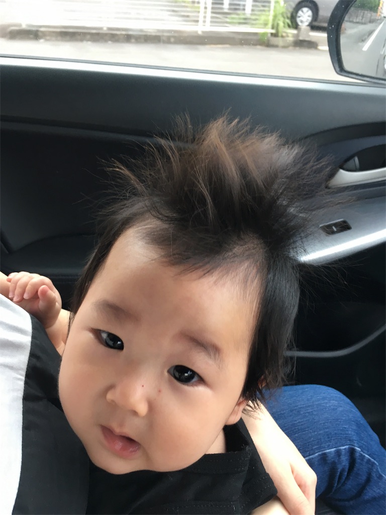 f:id:ta-itagoe:20180611205334j:image
