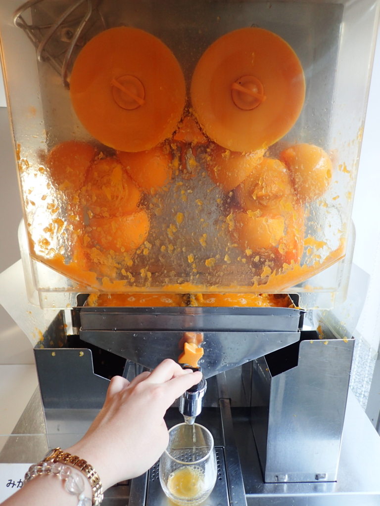 f:id:ta-nyanXP:20170521221525j:plain