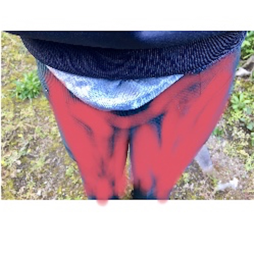 f:id:ta-sanpapa:20190510082242j:image f:id:ta-sanpapa:20190510082242j:image