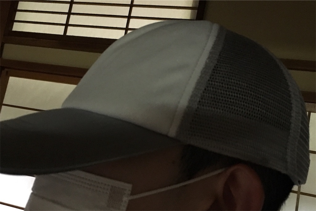 f:id:ta-sanpapa:20190720133319j:image