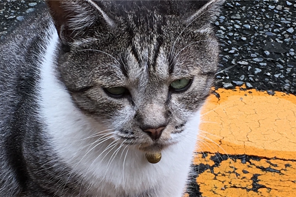 f:id:ta-sanpapa:20190828001059j:image