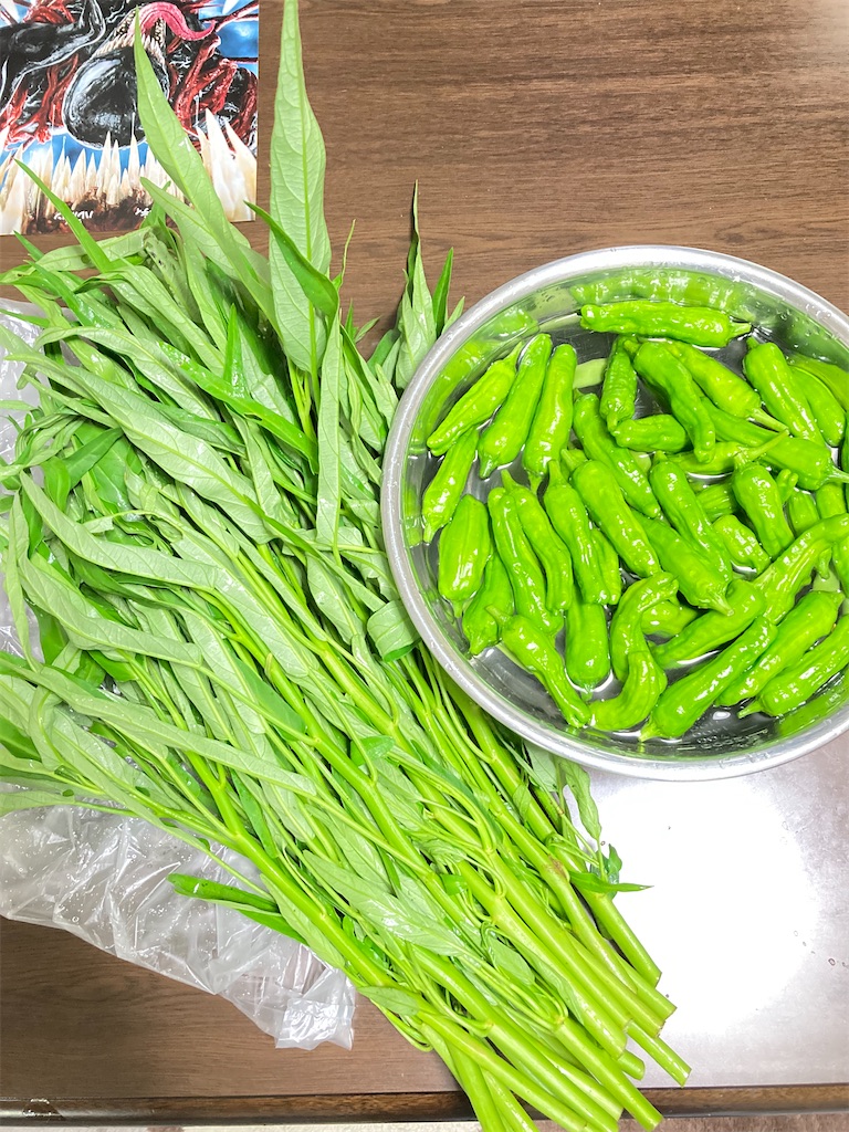 f:id:ta-sanpapa:20210730235136j:plain