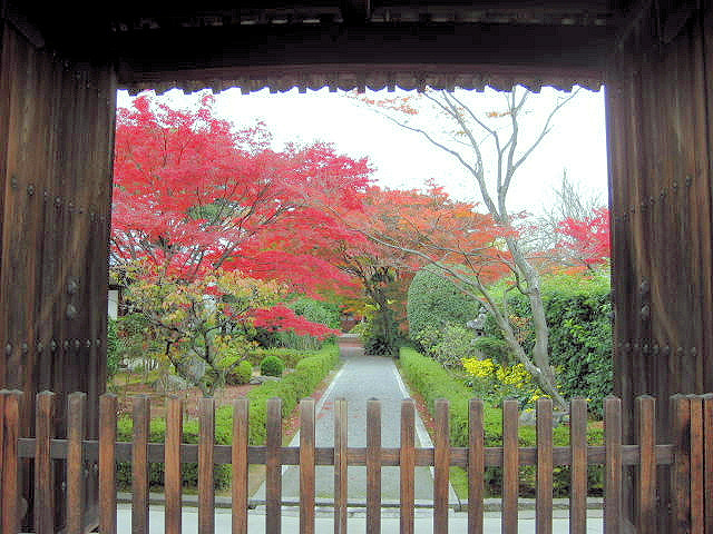 f:id:ta0725:20191028090807j:plain f:id:ta0725:20191028090807j:plain