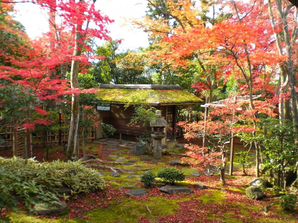 f:id:ta0725:20191028090937j:plain f:id:ta0725:20191028090937j:plain