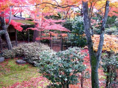 f:id:ta0725:20191028091001j:plain f:id:ta0725:20191028091001j:plain