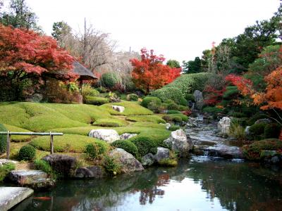 f:id:ta0725:20191028091135j:plain f:id:ta0725:20191028091135j:plain