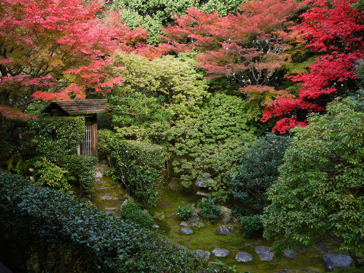 f:id:ta0725:20191028091214j:plain f:id:ta0725:20191028091214j:plain