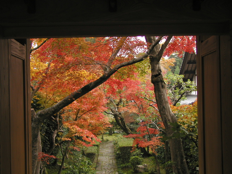 f:id:ta0725:20191104170649j:plain f:id:ta0725:20191104170649j:plain