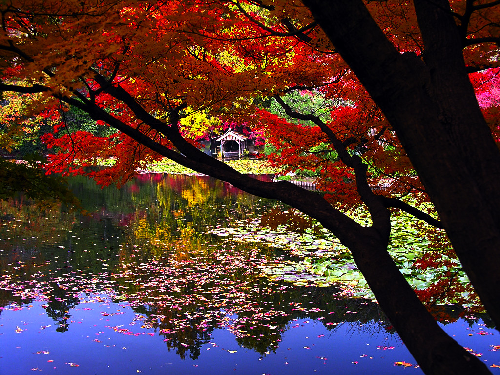 f:id:ta0725:20191104170708j:plain f:id:ta0725:20191104170708j:plain