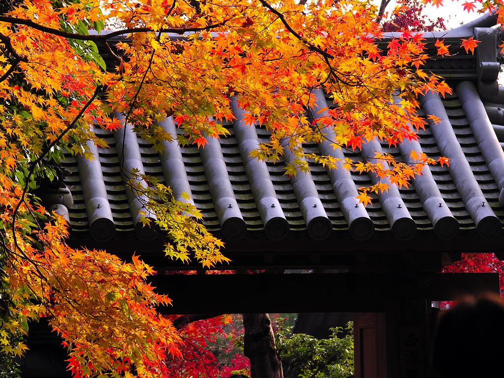 f:id:ta0725:20191104170734j:plain f:id:ta0725:20191104170734j:plain