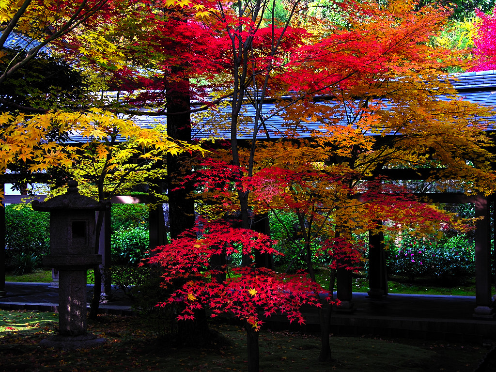 f:id:ta0725:20191104170932j:plain f:id:ta0725:20191104170932j:plain