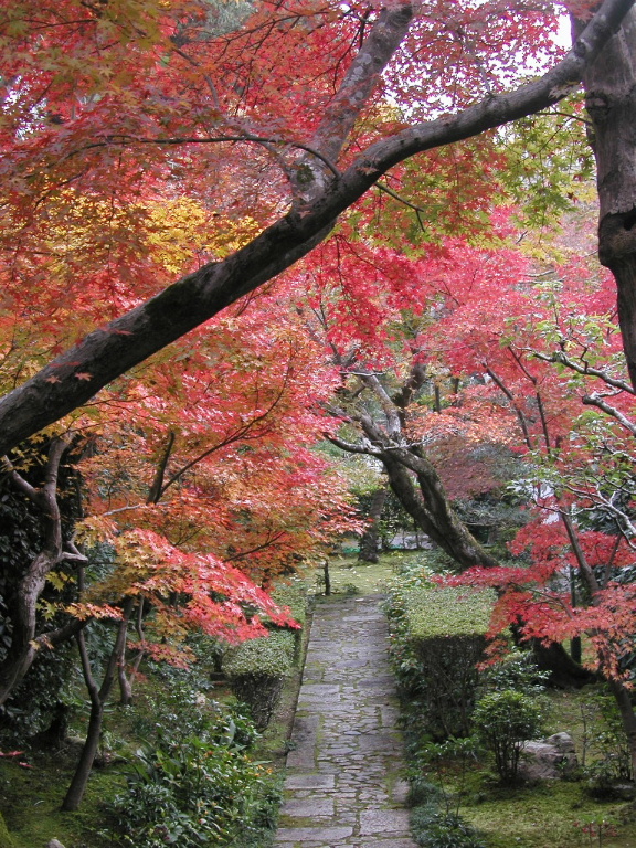 f:id:ta0725:20191104171036j:plain f:id:ta0725:20191104171036j:plain