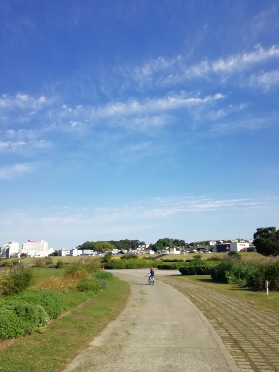 f:id:ta1pap:20201022084225j:plain