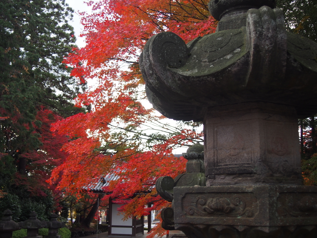 奥武蔵 天覧山 子ノ権現 燃える紅葉 飯能アルプス ようこそ スラ男村