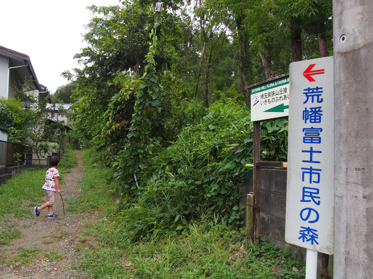 狭山 荒幡富士 八国山緑地 息子と歩くトトロの森 ようこそ スラ男村