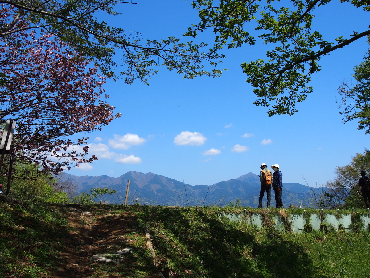 丹沢】頭高山 丹沢の眺めが素晴らしい、八重桜の里 - ようこそ スラ男村
