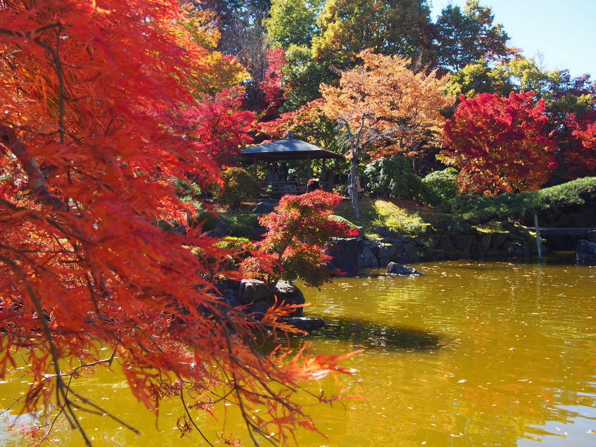 群馬】桜山 紅葉と冬桜の共演する藤岡市の名低山 - ようこそ スラ男村