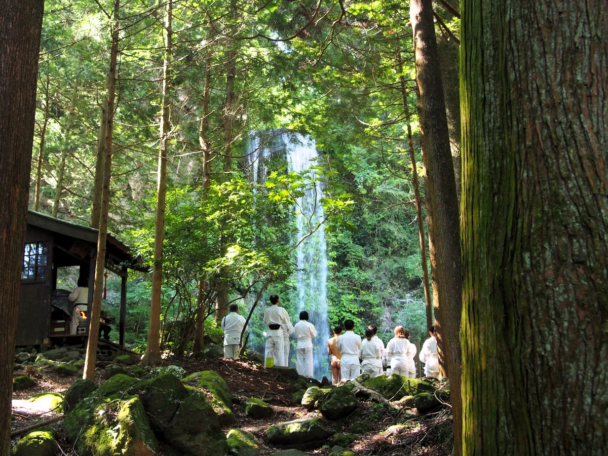 箱根 金時山の夏　シシウド咲く パステル画 箱根 金時山の夏 シシウド咲く パステル画