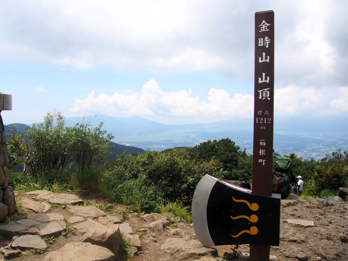 箱根 金時山の夏　シシウド咲く パステル画 箱根 金時山の夏 シシウド咲く パステル画
