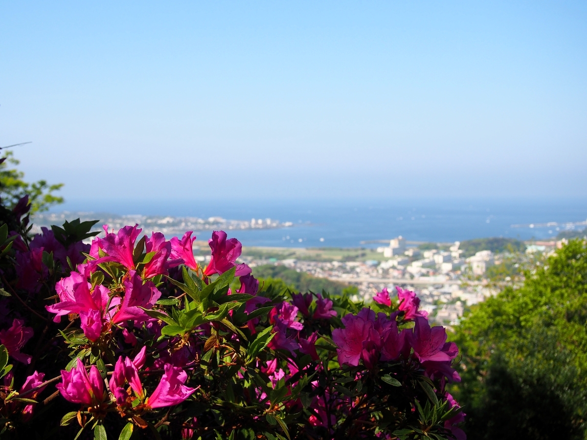 三浦】武山三山～天神島 ツツジの2大名所を訪ねて、山から海へ