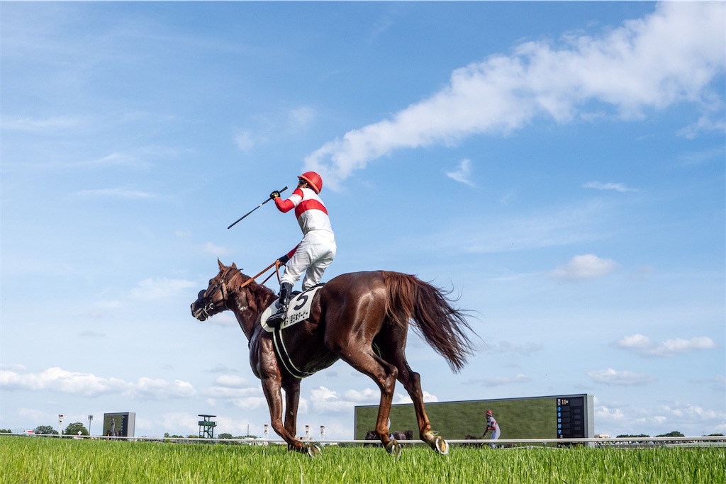 f:id:ta96u1484:20240531212206j:image f:id:ta96u1484:20240531212206j:image