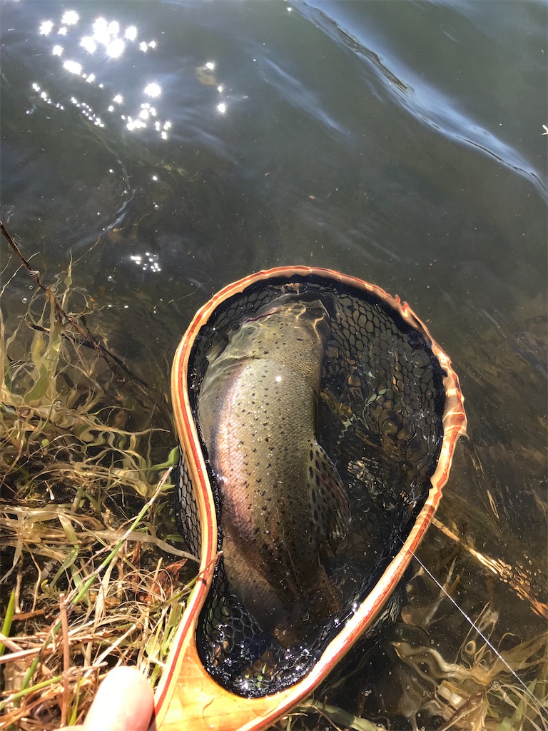 f:id:taakaasi:20211201171233j:image f:id:taakaasi:20211201171233j:image